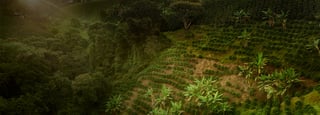 sustainability 1 2