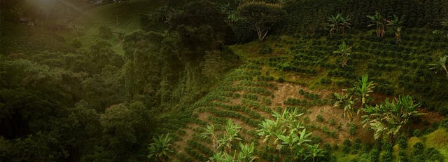 sustainability 1 2